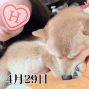 ヒメ日記 2025/04/29 09:47 投稿 ひばり 佐賀人妻デリヘル 「デリ夫人」