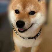 ヒメ日記 2025/06/04 00:29 投稿 ひばり 佐賀人妻デリヘル 「デリ夫人」