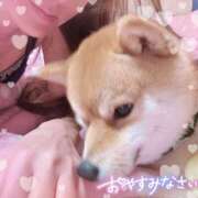 ヒメ日記 2025/06/06 00:45 投稿 ひばり 佐賀人妻デリヘル 「デリ夫人」