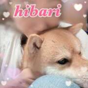 ヒメ日記 2025/06/07 03:18 投稿 ひばり 佐賀人妻デリヘル 「デリ夫人」