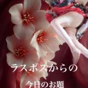 ヒメ日記 2025/06/14 16:24 投稿 ひばり 佐賀人妻デリヘル 「デリ夫人」