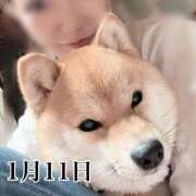 ヒメ日記 2026/01/11 11:51 投稿 ひばり 佐賀人妻デリヘル 「デリ夫人」