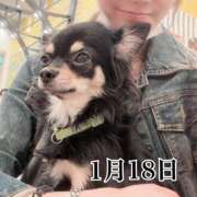 ヒメ日記 2026/01/18 09:04 投稿 ひばり 佐賀人妻デリヘル 「デリ夫人」