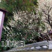 ヒメ日記 2026/01/25 10:13 投稿 ひばり 佐賀人妻デリヘル 「デリ夫人」