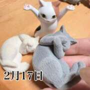 ヒメ日記 2026/02/17 10:12 投稿 ひばり 佐賀人妻デリヘル 「デリ夫人」