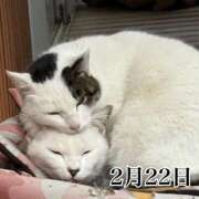 ヒメ日記 2026/02/22 10:28 投稿 ひばり 佐賀人妻デリヘル 「デリ夫人」