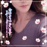 ヒメ日記 2026/04/11 08:52 投稿 ひばり 佐賀人妻デリヘル 「デリ夫人」