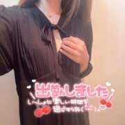 ヒメ日記 2026/06/11 16:56 投稿 ひばり 佐賀人妻デリヘル 「デリ夫人」