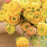 ヒメ日記 2026/03/09 10:00 投稿 百合(ゆり) 人妻最後の砦 小山店