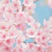 ヒメ日記 2026/03/28 18:00 投稿 百合(ゆり) 人妻最後の砦 小山店