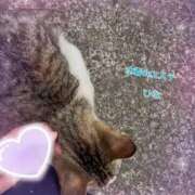 ヒメ日記 2025/05/13 18:22 投稿 ひな 密着SPA!!水着deエステ～美人・素人エステ専門店～