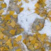 なな 休 電車でGOAL！