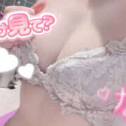 ヒメ日記 2025/08/20 15:57 投稿 なな シェリーエンジェル