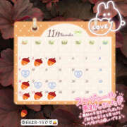 ヒメ日記 2025/10/31 16:25 投稿 なな シェリーエンジェル