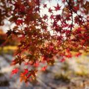 ヒメ日記 2025/11/18 10:06 投稿 なな シェリーエンジェル