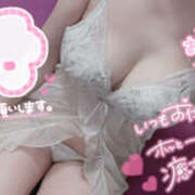 ヒメ日記 2025/12/07 07:16 投稿 なな シェリーエンジェル