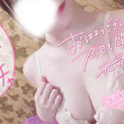 ヒメ日記 2026/03/06 07:35 投稿 なな シェリーエンジェル