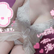 ヒメ日記 2026/03/16 06:37 投稿 なな シェリーエンジェル