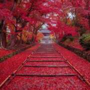 ヒメ日記 2025/11/07 20:50 投稿 乃木そら（のぎそら） 五十路マダムエクスプレス厚木店(カサブランカグループ)