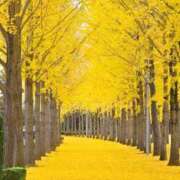 ヒメ日記 2025/11/14 21:56 投稿 乃木そら（のぎそら） 五十路マダムエクスプレス厚木店(カサブランカグループ)