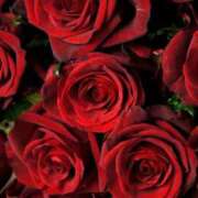 ヒメ日記 2025/10/19 09:00 投稿 みれい 梅田アバンチュール