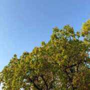 ヒメ日記 2025/04/26 08:04 投稿 ちはる ごほうびSPA神戸店