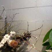 ヒメ日記 2025/04/27 21:04 投稿 ちはる ごほうびSPA神戸店