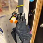 ヒメ日記 2025/05/24 22:04 投稿 ちはる ごほうびSPA神戸店