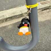 ヒメ日記 2025/05/29 09:44 投稿 ちはる ごほうびSPA神戸店