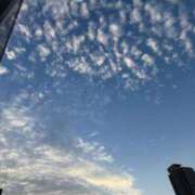 ヒメ日記 2025/06/29 12:06 投稿 ちはる ごほうびSPA神戸店