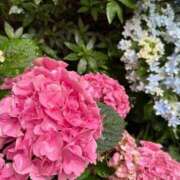 ヒメ日記 2025/06/29 15:14 投稿 ちはる ごほうびSPA神戸店