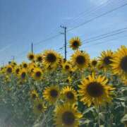 ヒメ日記 2025/07/31 21:04 投稿 ちはる ごほうびSPA神戸店