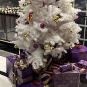 ヒメ日記 2025/11/25 01:34 投稿 ちはる ごほうびSPA神戸店