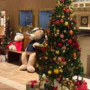 ヒメ日記 2025/12/16 22:34 投稿 ちはる ごほうびSPA神戸店