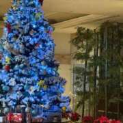 ヒメ日記 2025/12/21 03:34 投稿 ちはる ごほうびSPA神戸店