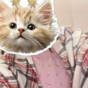 ヒメ日記 2024/12/13 15:02 投稿 けぇけぇけぇけぇ～い❗ GOOD-グッド-