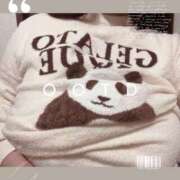 ヒメ日記 2025/02/27 03:20 投稿 けぇけぇけぇけぇ～い❗ GOOD-グッド-