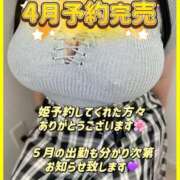 ヒメ日記 2025/04/04 14:28 投稿 けぇけぇけぇけぇ～い❗ GOOD-グッド-