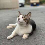 ヒメ日記 2025/06/15 15:04 投稿 けぇけぇけぇけぇ～い❗ GOOD-グッド-