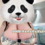 ヒメ日記 2025/06/26 11:15 投稿 けぇけぇけぇけぇ～い❗ GOOD-グッド-