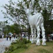 ヒメ日記 2026/01/12 05:36 投稿 けぇけぇけぇけぇ～い❗ GOOD-グッド-