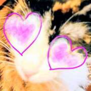 ヒメ日記 2025/11/14 15:03 投稿 榎本 宇都宮回春性感クリニック