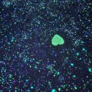 ヒメ日記 2025/03/23 17:51 投稿 雪美 熟女の風俗最終章　鶯谷店