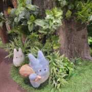 ヒメ日記 2025/11/07 07:56 投稿 雪美 熟女の風俗最終章　鶯谷店