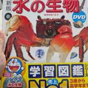 菜緒 2冊目(笑) 横浜関内人妻城
