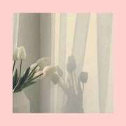 ヒメ日記 2025/05/31 12:15 投稿 百合子（ゆりこ） DIVA-ディーバ-【DIVAグループ】