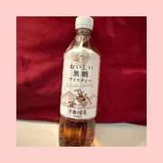 ヒメ日記 2026/02/17 04:22 投稿 百合子（ゆりこ） DIVA-ディーバ-【DIVAグループ】