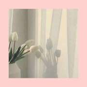 ヒメ日記 2026/03/15 02:49 投稿 百合子（ゆりこ） DIVA-ディーバ-【DIVAグループ】