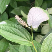 ヒメ日記 2025/07/10 10:34 投稿 さき BAD COMPANY（バッドカンパニー）