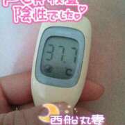 ヒメ日記 2025/01/07 21:35 投稿 朝海【あさみ】 丸妻 西船橋店